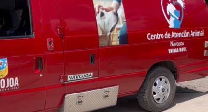 Sonora, avanza: Centro de Atención Animal en Navojoa ya cuenta con una unidad móvil