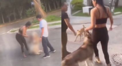 FUERTE VIDEO: Mujer sale a pasear con su perro pero lo incita a pelear con otro can