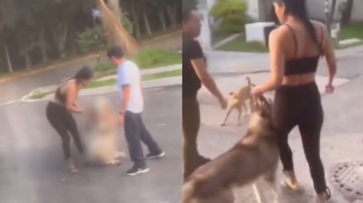 FUERTE VIDEO: Mujer sale a pasear con su perro pero lo incita a pelear con otro can
