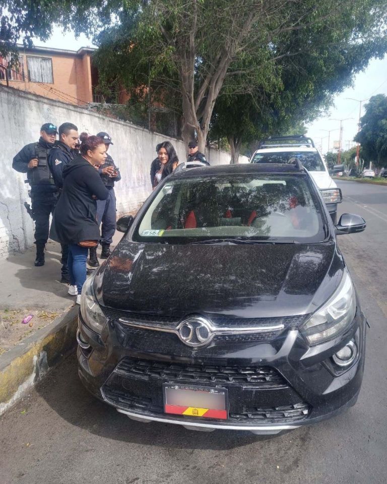 Tigre de Bengala en Nezahualcóyotl