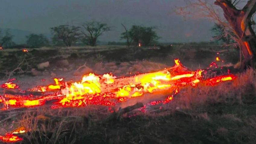 Tragedia en Hawái: SRE confirma que mueren 2 mexicanos durante incendios en Maui