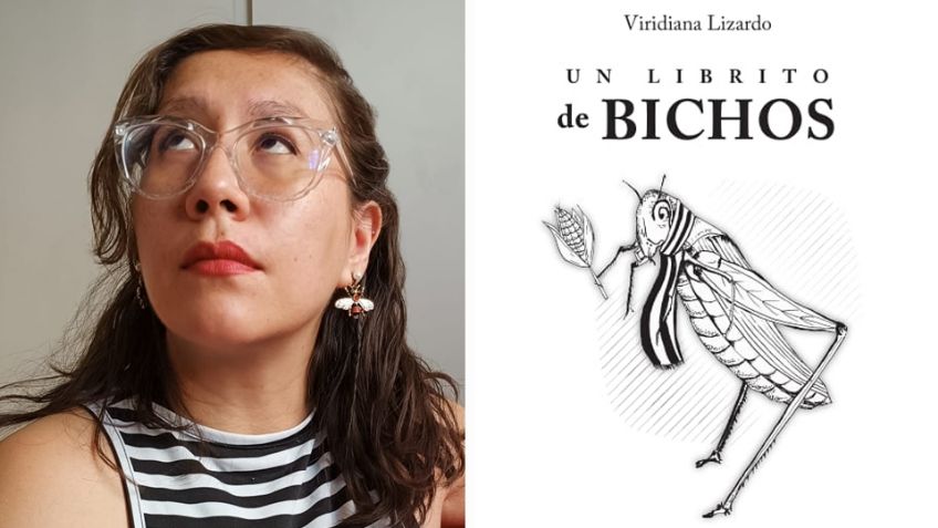'Un librito de bichos', una obra ilustrada y en verso para entender a los insectos