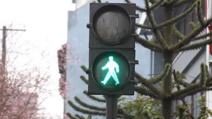 Día Mundial del Peatón 2023: El brutal asesinato que origina la conmemoración