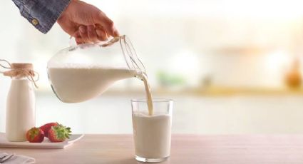 ¿Lala o Alpura? Estas son las mejores marcas de leche según la Profeco este 2023