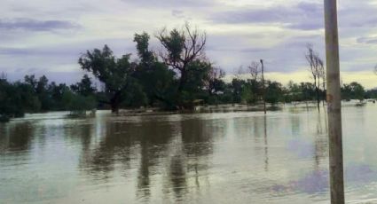 Navojoa: Río Mayo 'revive' tras las recientes lluvias en la región
