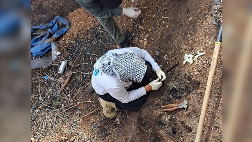 Colectivo de Rastreadoras de Caborca encuentra restos humanos en predio de Tubutama