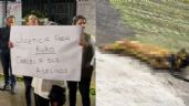 Justicia para Kuko: Detienen a pareja por asesinar y torturar a perrito en Edomex