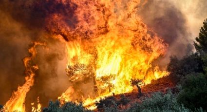 Incendios forestales atacan Grecia: Autoridades emiten alerta tras contar 26 decesos