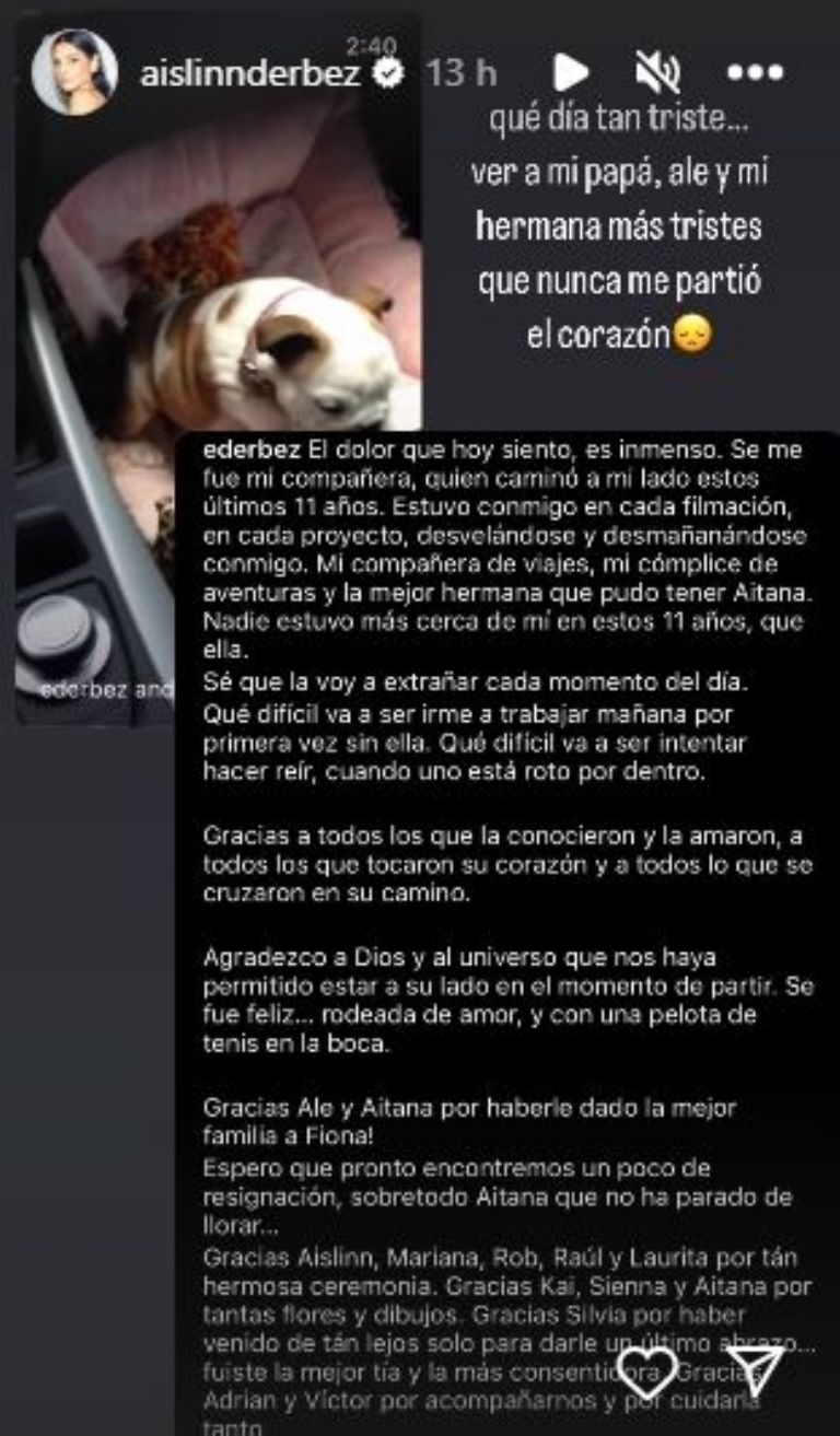 Historia de Aislinn Derbez