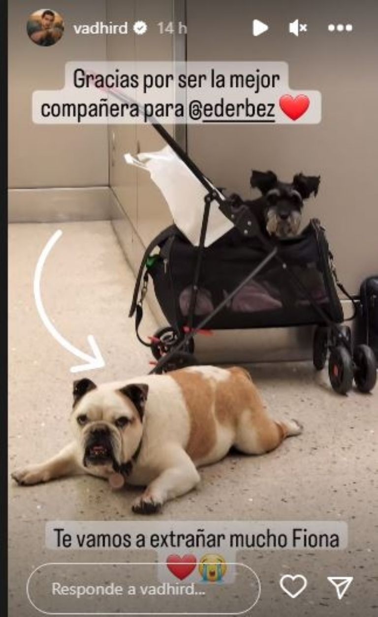 Historia de Vadhir Derbez