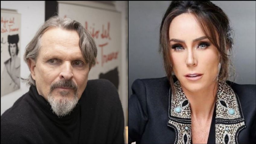 Filtran cómo habrían allanado la casa de Miguel Bosé y culpan a Inés Gómez Mont