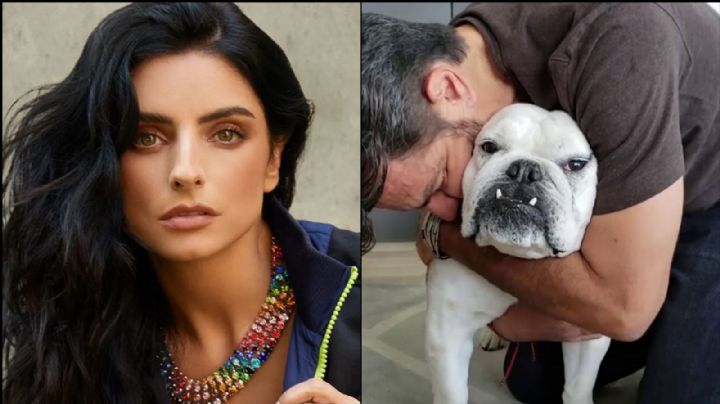 Aislinn Derbez filtra desgarradora FOTO de la muerte de 'Fiona': "Nos agarró por sorpresa"