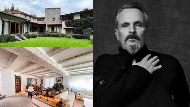 Miguel Bosé fue víctima de asalto en su casa