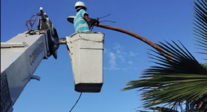 Navojoa: Fin del arrendamiento de luminarias con EMCO no refleja mejoría en el servicio