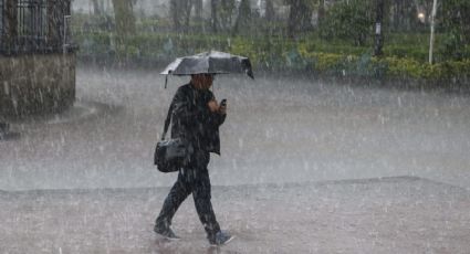 Clima en Sonora hoy martes 29 de agosto: ¡Saca el paraguas! Conagua alerta lluvias fuertes