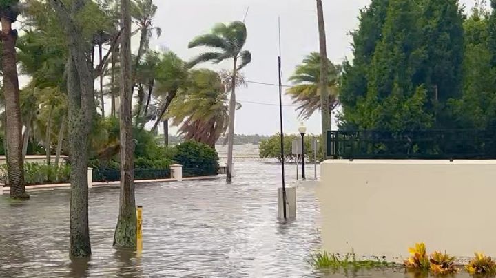 AMLO promete ayuda a mexicanos y damnificados por el huracán 'Idalia' en EU