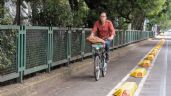 Así luce la nueva ciclovía en Coyoacán: La mejor manera de recorrer el sur de la Ciudad de México