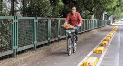 Así luce la nueva ciclovía en Coyoacán: La mejor manera de recorrer el sur de la Ciudad de México