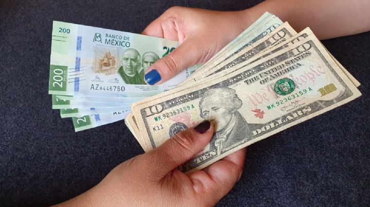 ¿Compras o vendes? Este es el precio del dólar en México con base al tipo de cambio actual
