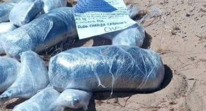 Violencia en Sonora: Hallan bultos de restos humanos en San Luis Río Colorado con mensaje amenazante