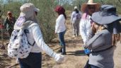 Denuncian ataque armado contra Madres Buscadoras de Sonora: Gobierno de AMLO lo niega