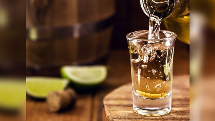 Para dar el 'Grito' en ambiente, Profeco comparte lista con las mejores marcas de mezcal