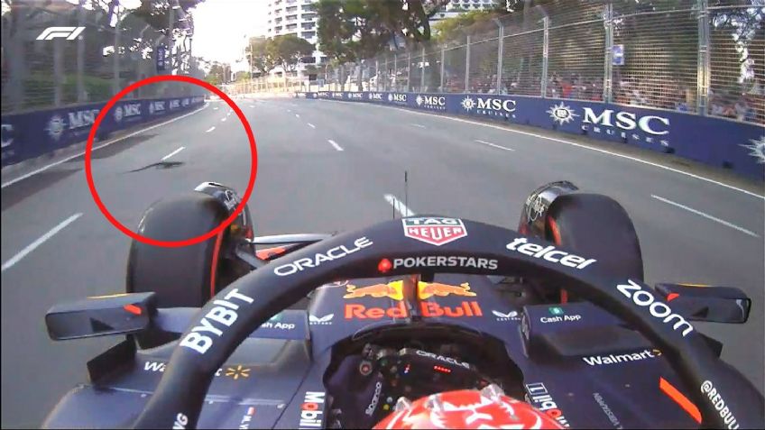 VIDEO: Varios lagartos invaden la pista del Gran Premio de Singapur y no termina bien