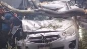 FOTOS: Fuertes lluvias desquician a la CDMX; Reportan caída de árboles sobre vehículos
