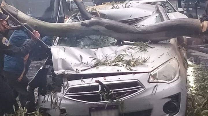 FOTOS: Fuertes lluvias desquician a la CDMX; Reportan caída de árboles sobre vehículos