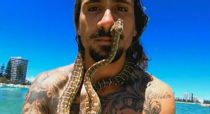 Multan a surfista por maltrato animal; 'saltó' al mar acompañado de una serpiente