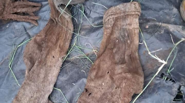 FOTOS: Hallan cuerpo enterrado en el patio de una vivienda en Ciudad Obregón, Sonora