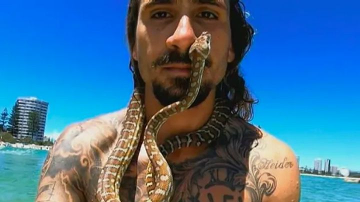 Multan a surfista por maltrato animal; 'saltó' al mar acompañado de una serpiente
