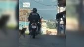 VIDEO: Policía de Veracruz arrastra un perro con su motocicleta en movimiento