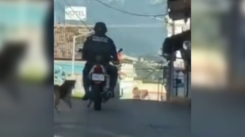 VIDEO: Policía de Veracruz arrastra un perro con su motocicleta en movimiento