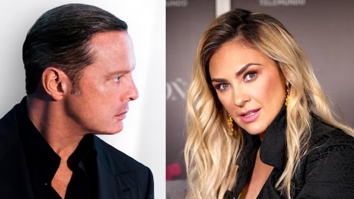 Abogado dice que Luis Miguel sí es deudor moroso: "No paga manutención a Aracely Arámbula"