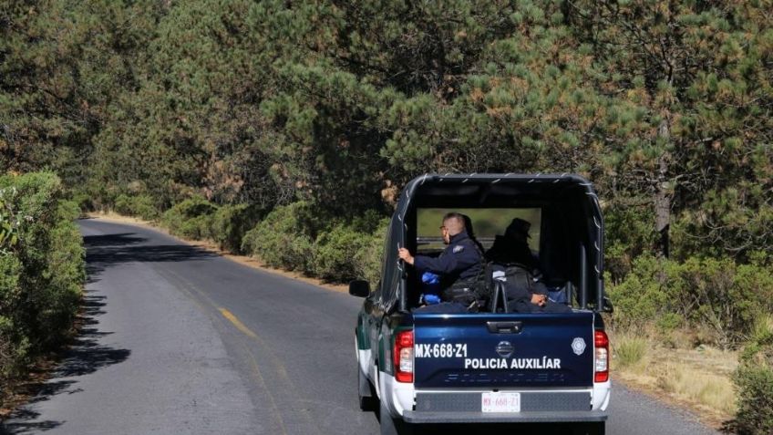 Tala ilegal en CDMX: Tlalpan crea campaña para combatir este delito en Ajusco y Topilejo