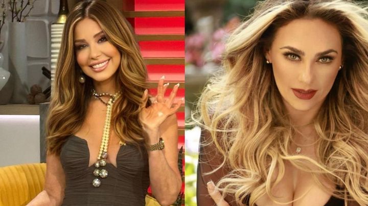 Tras defender a Luis Miguel, Aracely Arámbula manda contundente mensaje a Myrka Dellanos