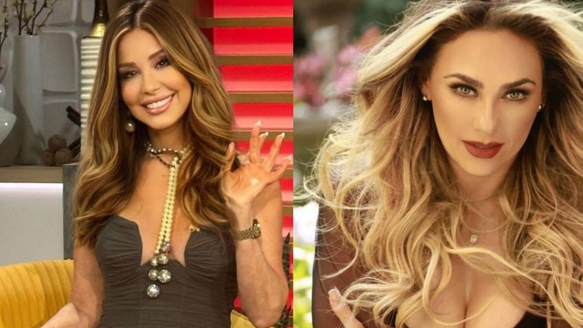 Tras defender a Luis Miguel, Aracely Arámbula manda contundente mensaje a Myrka Dellanos