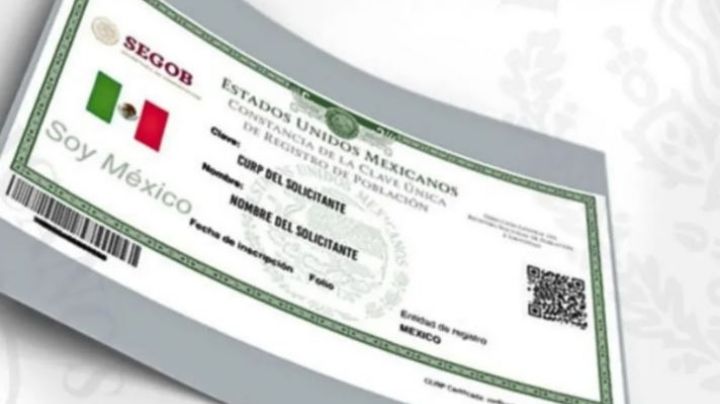 Así luciría la nueva CURP con fotografía que propone Morena; será una nueva identificación