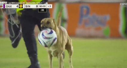 (VIDEO) "Para las Chivas": Perro invade cancha de la Liga de Expansión y se roba el balón