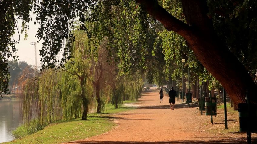 Turismo en Cajeme: Seis actividades imperdibles cuando visites Ciudad Obregón