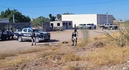 Un muerto, el saldo de una agresión armada 'mañanera' en Ciudad Obregón, Sonora
