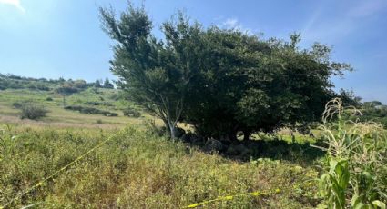 Debajo de un árbol, localizan el cadáver baleado de una mujer en Michoacán