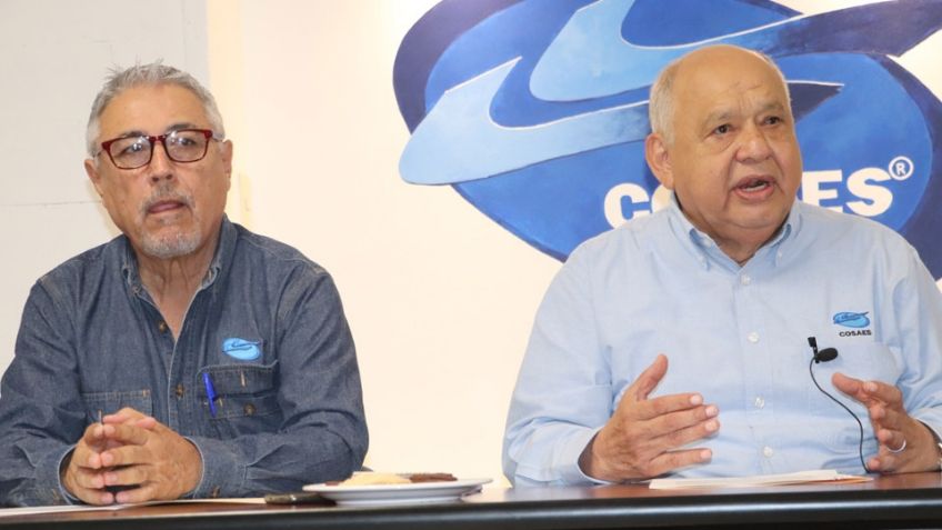 México es declarado como libre del virus de Taura; reconfortante noticia para el sector