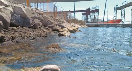 Narcos en México: Grupos criminales contaminan con desechos el Mar de Cortés