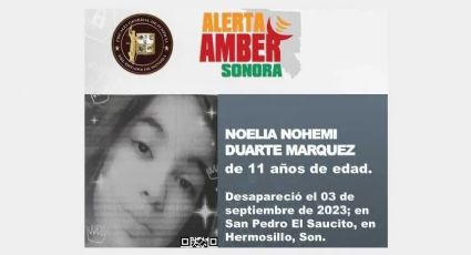 Piden ayuda para localizar a la menor Noelia Duarte, desapareció en San Pedro El Saucito