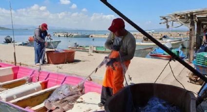 Pescadores de Guaymas y Empalme, inconformes por fecha de salida a la captura de camarón