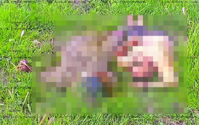 Cuerpos abandonados en Edomex