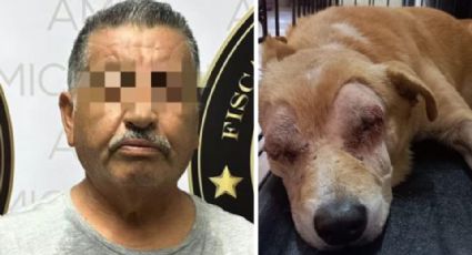 Crueldad animal en Hermosillo: Arrestan a Joel por sacarle los ojos a un perro callejero