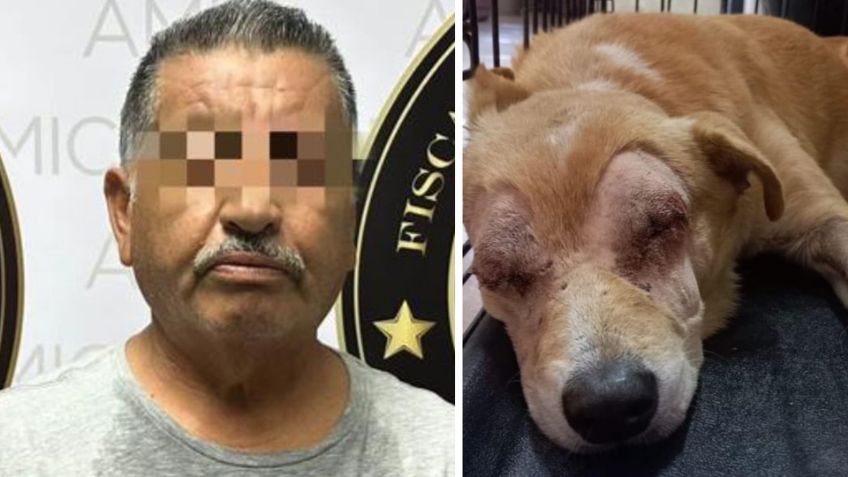 Crueldad animal en Hermosillo: Arrestan a Joel por sacarle los ojos a un perro callejero
